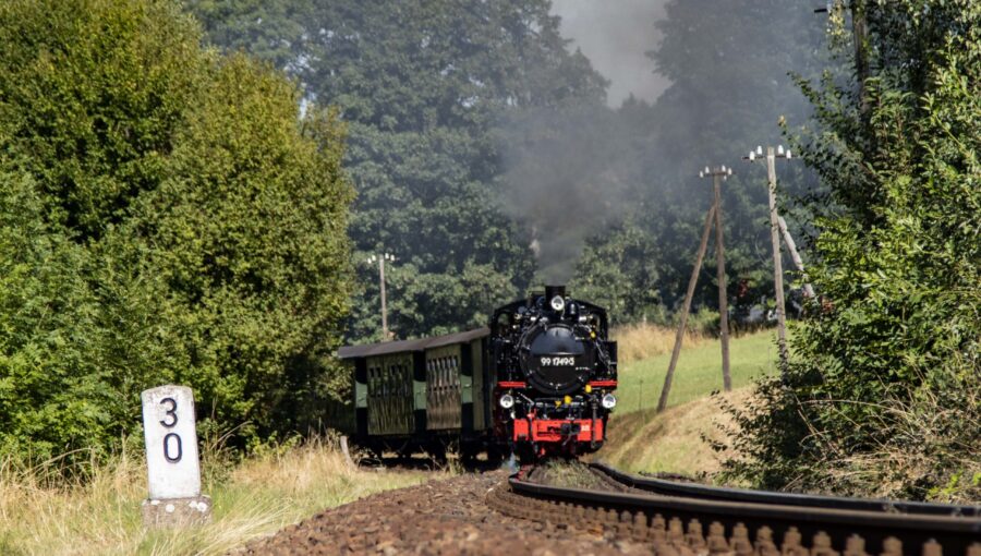 Rekowagenzug
